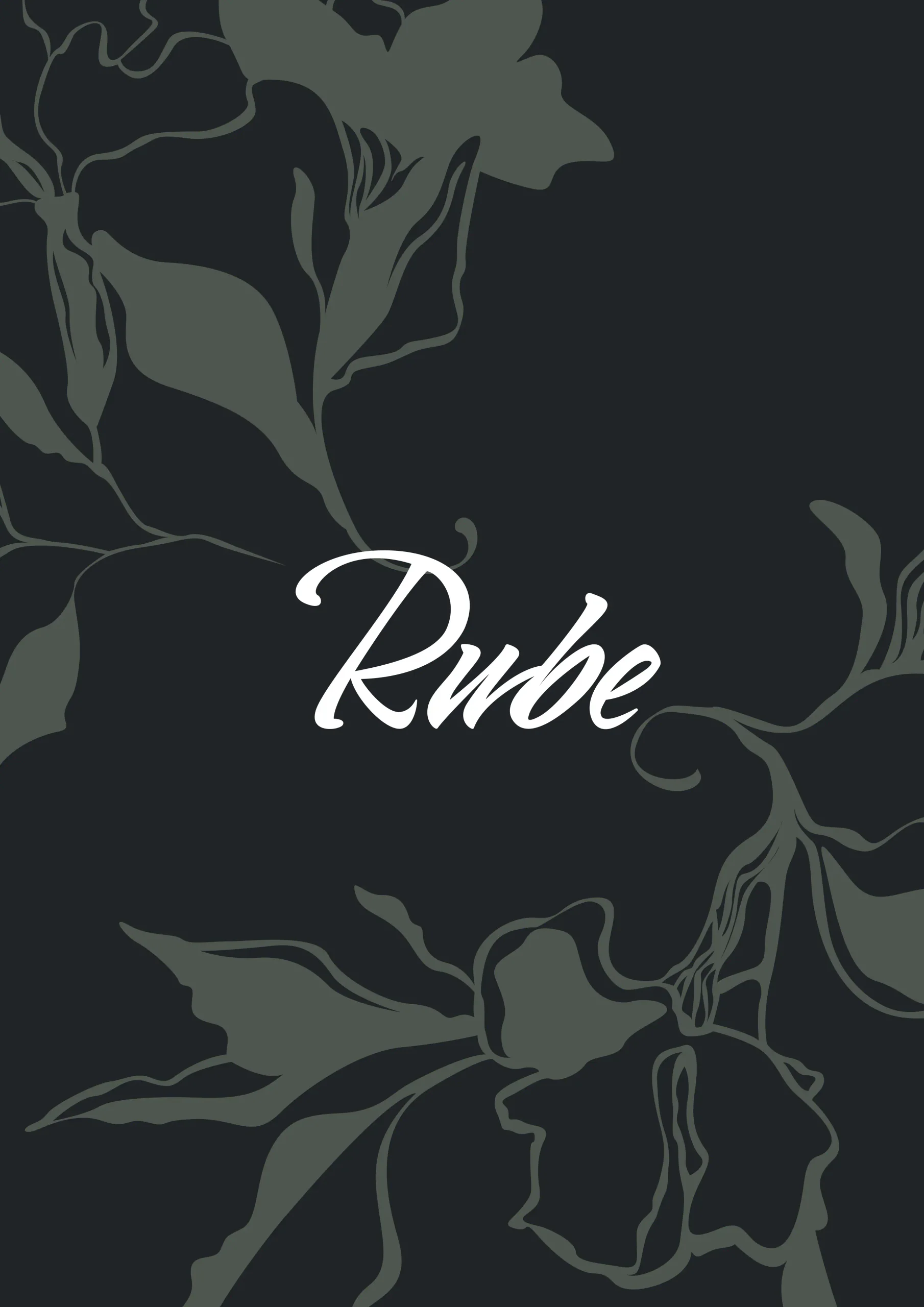 Rube Studio  1