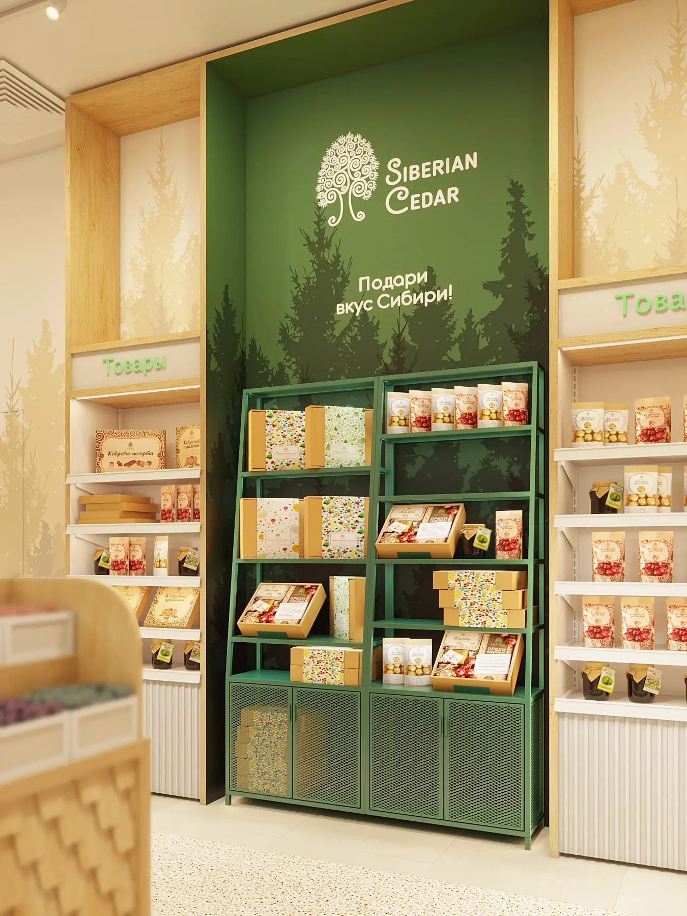 Сибирский кедр  5