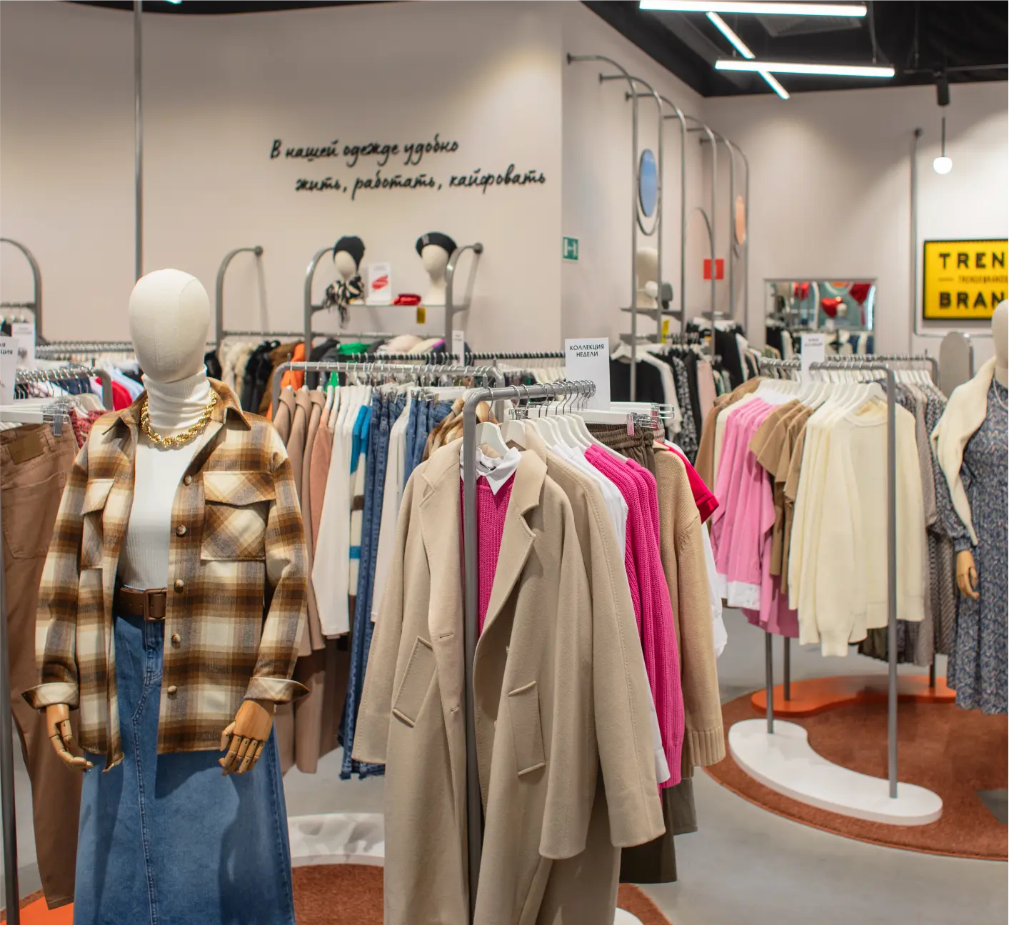 Trends Brands  2